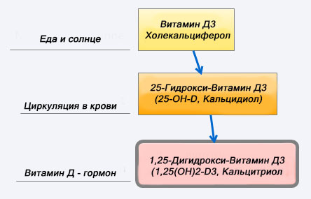 Формы витамина Д3