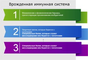 Части врожденной иммунной системы